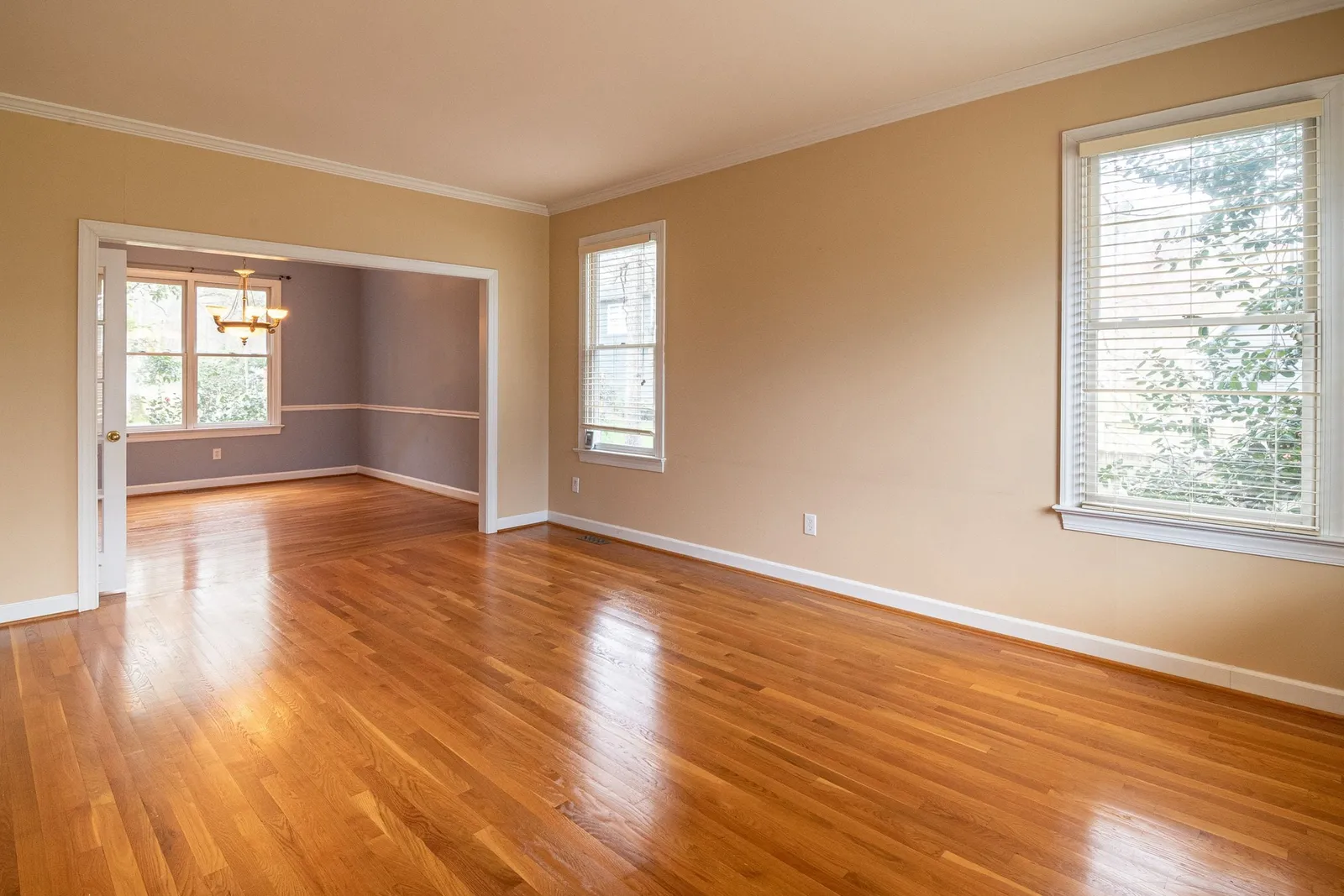 A renewed plank floor with a warm sheen in an empty, bright room